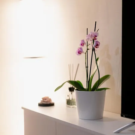 La Casa Di Cristina Lucca